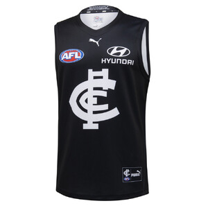 BNWT's! Details about   Carlton Blues AFL Big Logo Long Sleeve Hoody Sizes S-7XL 