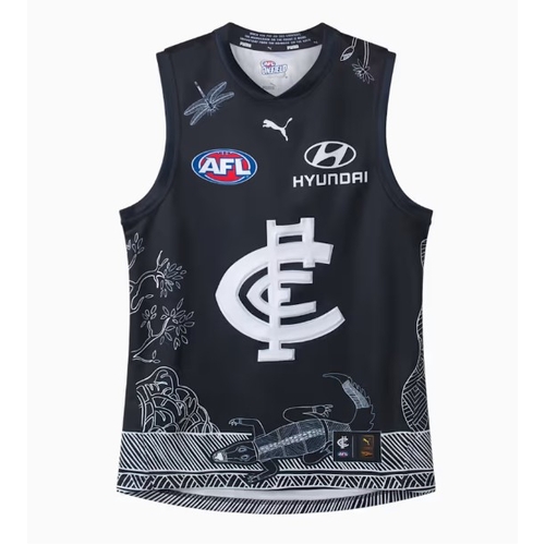 Carlton Blues 2026 AFL Puma Team Hoodie Sizes S-4XL!
