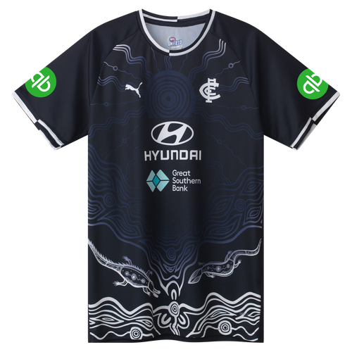 Carlton Blues 2025 AFL Puma Training Shirt Sizes S-6XL!
