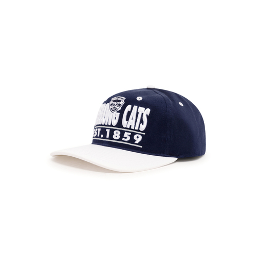 Geelong Cats 2023 Team Crest Deadstock Cap!