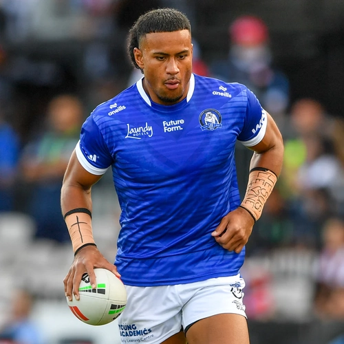 Canterbury Bulldogs NRL 2025 O'Neills Warm Up Shirt Sizes S-7XL!
