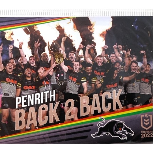 Penrith Panthers NRL 2022 Premiers iTag Team Photo Magnetic Fridge Decal