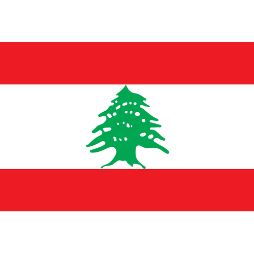Rugby League Lebanon Lebanese Cedars RLWC National Flag (30 cm x 40 cm)