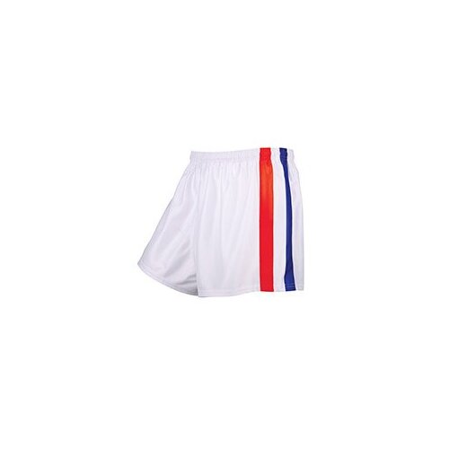 Sydney Roosters NRL Generic Supporter Shorts Sizes 36-48 inch!