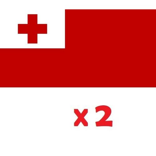 2 x Tonga National Car Flag Mate Ma'a Flag 30cm x 45cm with Pole! 
