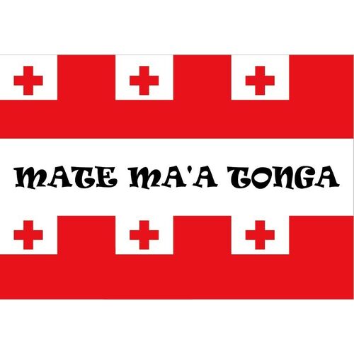 2 x Mate Ma'a Tonga Car Flag Mate Ma'a Flag 30cm x 45cm with Pole! 