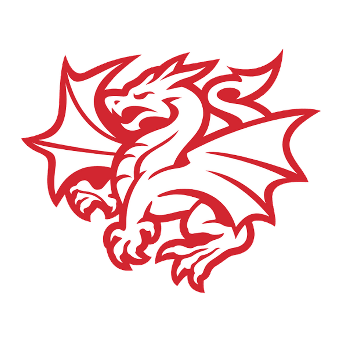 St George Illawarra Dragons logo