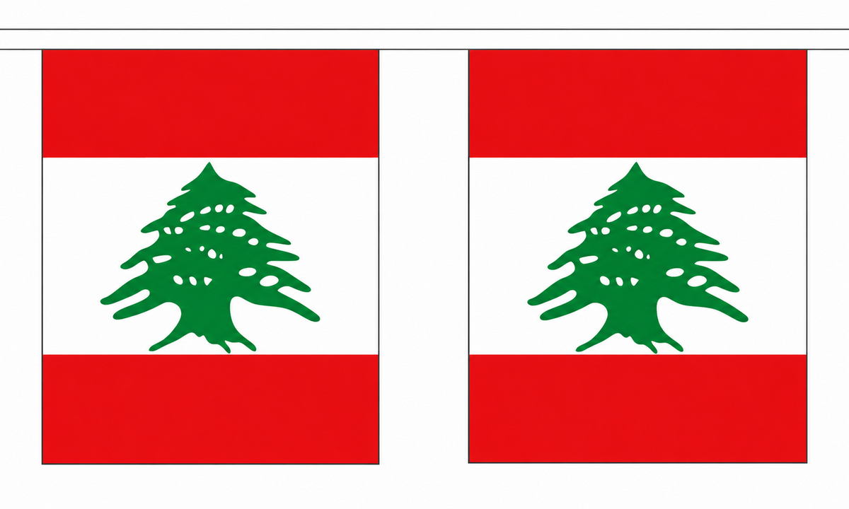 Lebanon National Flag Bunting 5M Long! Cedars Rugby League!
