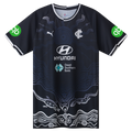 Carlton Blues 2025 AFL Puma Training Shirt Sizes S-6XL!