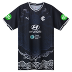 Carlton Blues 2025 AFL Puma Training Shirt Sizes S-6XL!