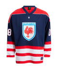 Sydney Roosters NRL Long Sleeve Hockey Jersey S-5XL!