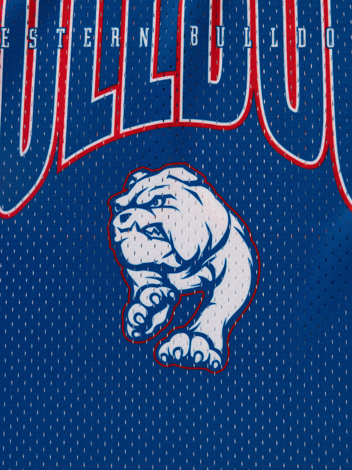 Western Bulldogs NAR AFL Basketball Singlet Sizes S-3XL! S4