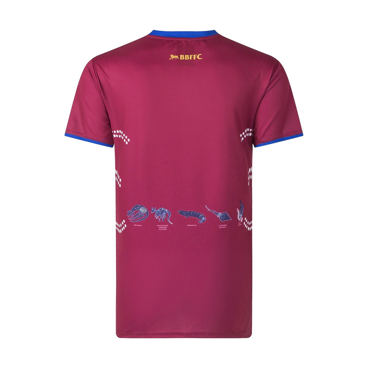 Brisbane Lions AFL Classic Warm Up Tee T Shirt Sizes S-5XL! T2