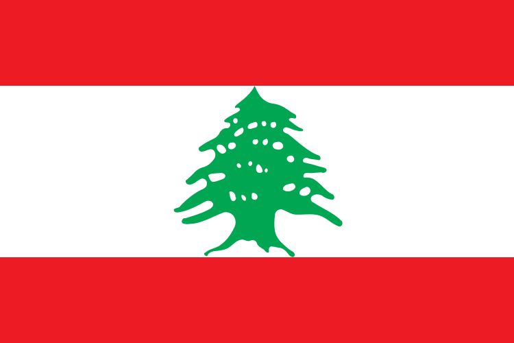 Rugby League Lebanon Lebanese Cedars RLWC National Flag (30 cm x 40 cm)