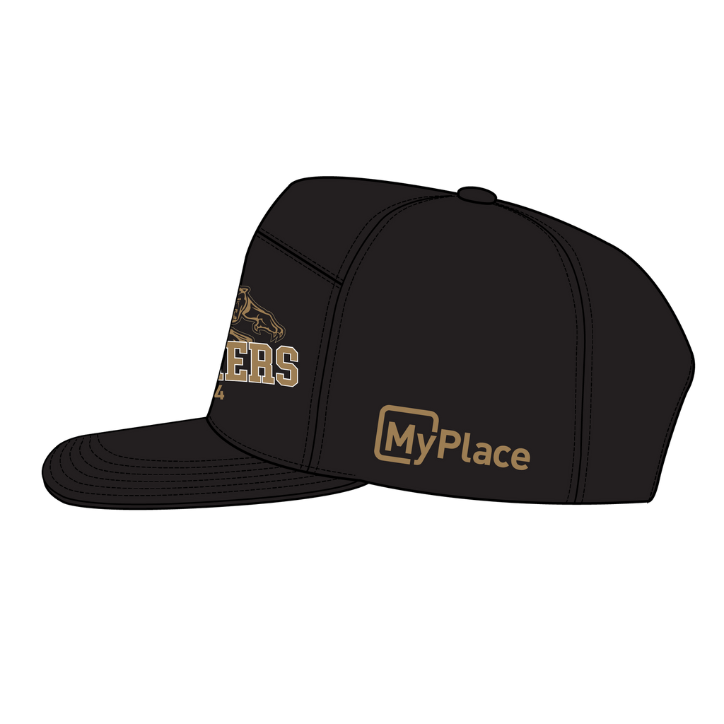 Penrith Panthers NRL 2024 O'Neill's Premiers Cap/Hat! In Stock